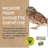 Nichoir pour chouette chevêche