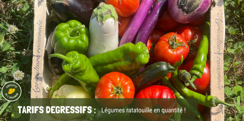 Légumes ratatouilles en quantité ! panier garni de bons légumes