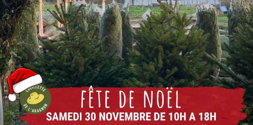 Fête de Noël 2024